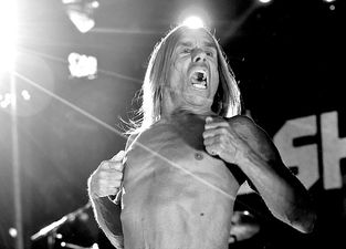 Video: Iggy Pop, Josh Homme and Matt Helders have formed a supergroup