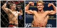 VIDEO: Al Iaquinta calls out UFC wonderkid Sage Northcutt with bizarre posts