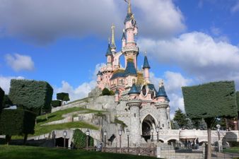 Man arrested at Disneyland Paris hotel after being found with firearms