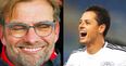 Jurgen Klopp is reportedly ready to make a £20m move for Javier Hernandez