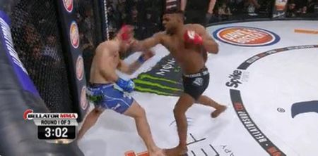 VIDEO: Knockout artist Paul Daley scores another brutal walk off KO