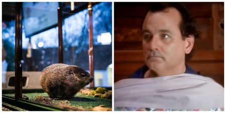 Sky Comedy have taken the perfect approach to their Groundhog Day scheduling