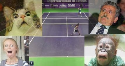 VIDEO: Congratulations, Dustin Brown. You’ve just nailed the greatest tennis shot of all time