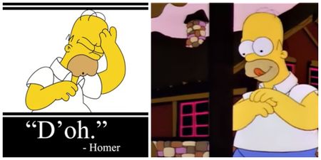 Fan theory claims to uncover where The Simpsons is set