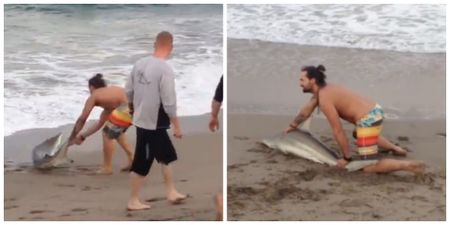 VIDEO: Man pulls struggling shark from the water to pose for photos