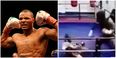 VIDEO: Chris Eubank Jr sparks out young boxer in training with vicious shot