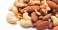 Eating this nut with your breakfast can help burn fat