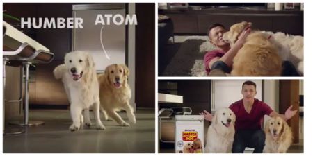 VIDEO: Alexis Sanchez has never looked happier than when starring in this dog food advert