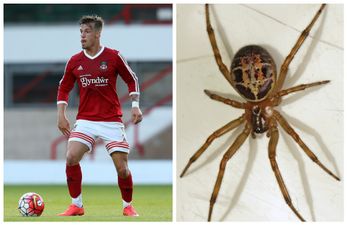 PIC: Footballer returns to training after venomous spider bite left him with a hole in his arm