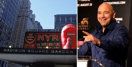 UFC set for New York return as state votes to end ban on mixed martial arts