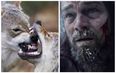 London man escapes wolves in a survival tale likened to The Revenant