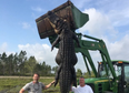 This massive cattle-eating alligator shot dead on a Florida farm is apparently real