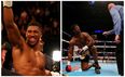 Anthony Joshua’s reaction the moment he knocked out Charles Martin is brilliant