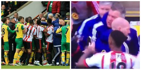 Norwich and Sunderland players start brawl in relegation six-pointer