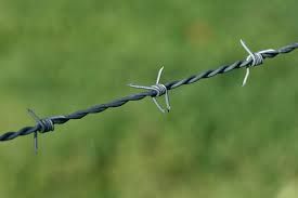 Somebody set up a disgusting and dangerous barbed wire trap on this cycling trail