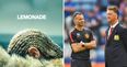 Why Beyonce’s Lemonade is all about Ryan Giggs and Louis van Gaal’s fractured relationship