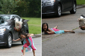 Girl uploads photos of her sister getting attacked by a goose, and she reckons it was hilarious