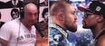 Joe Rogan has some very NSFW words on the far-fetched McGregor v Mayweather rumours