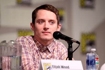 Elijah Wood says Hollywood paedophiles are being protected by senior film business figures