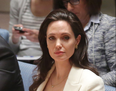 Angelina Jolie is going to be a professor at London School of Economics