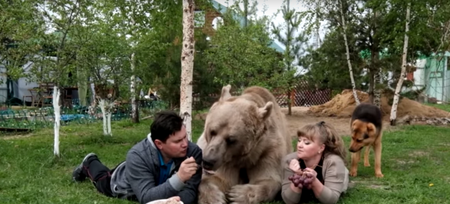 This couple has a gentle 7-foot tall, 21-stone bear for a pet