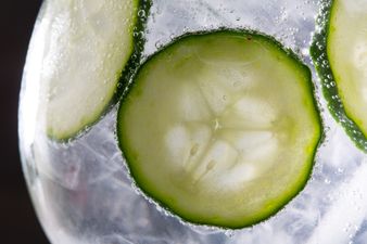 There’s a scientific reason why you love the taste of a gin & tonic