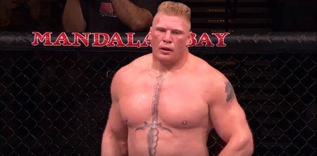 Usada have gone all out to ensure Brock Lesnar is clean before UFC return