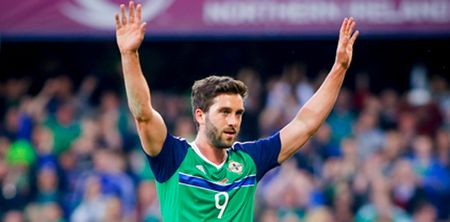 German club’s fans start a petition to sign Will Grigg