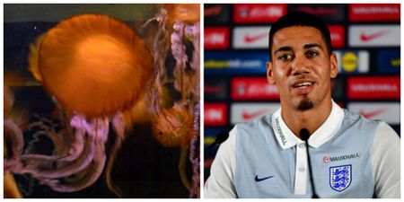 No, Chris Smalling hasn’t been stung by a jellyfish