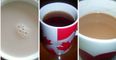 14 shades of tea, ranked by acceptability