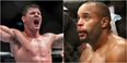 Michael Bisping wants to replace Jon Jones for light heavyweight title fight at UFC 200