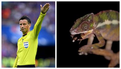 Everyone makes the same joke about Mark Clattenburg as he referees Euro 2016 final