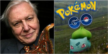 David Attenborough narrating Pokemon GO is absolutely marvellous