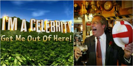 Nigel Farage has been offered huge money to appear on ‘I’m A Celebrity…’