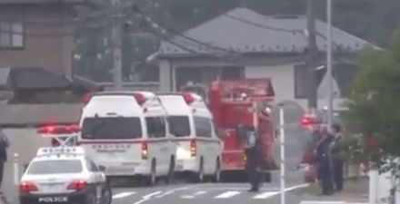 Knifeman kills 19 people in rampage at Japanese disabled centre