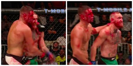 This moment shows the massive respect between Conor McGregor and Nate Diaz