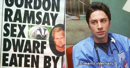 Scrubs star Zach Braff is loving this story about a dead Gordon Ramsay ‘sex dwarf’ eaten by a badger