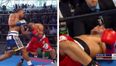 This was one vicious uppercut KO from America’s ‘new Floyd Mayweather’