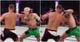 Nate Diaz’s Stockton slap was no match for Conor McGregor’s skull-rattling punch