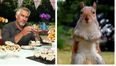 Bake Off fans are furious after the squirrel with the giant balls disappears from the show