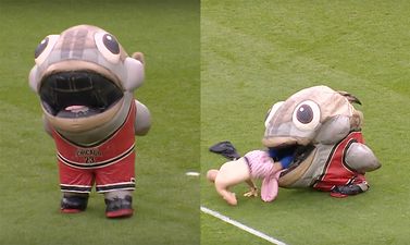 Man-eating fish provides brilliant half-time entertainment at Derby’s Pride Park