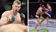 Nate Marquardt’s deadly head kick KO drops UFC opponent like he’s been shot