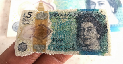 Apparently the new plastic £5 note shrinks in heat