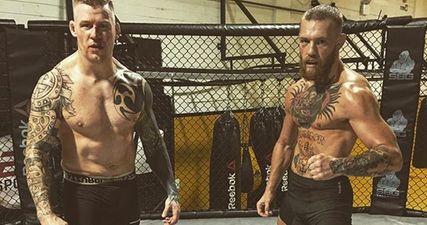 Conor McGregor’s SBG stablemate signs with UFC and will debut in New York