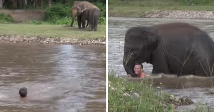 This video of an elephant rushing into water to save a man is incredible