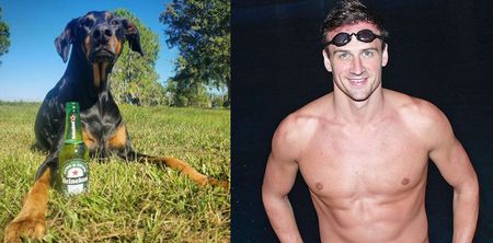 Ryan Lochte’s dog Carter has apparently discovered the secret to eternal life