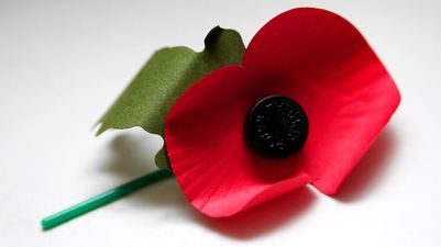 The sanctimonious poppy police should perhaps spend more time in quiet remembrance