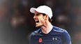 Andy Murray is world number one and you know exactly what the internet is saying about it