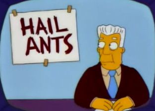 Twitter is losing its shit over the ‘yellow crazy ants’ on Planet Earth 2