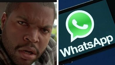 You can now send GIFs to your mates on WhatsApp – here’s how.